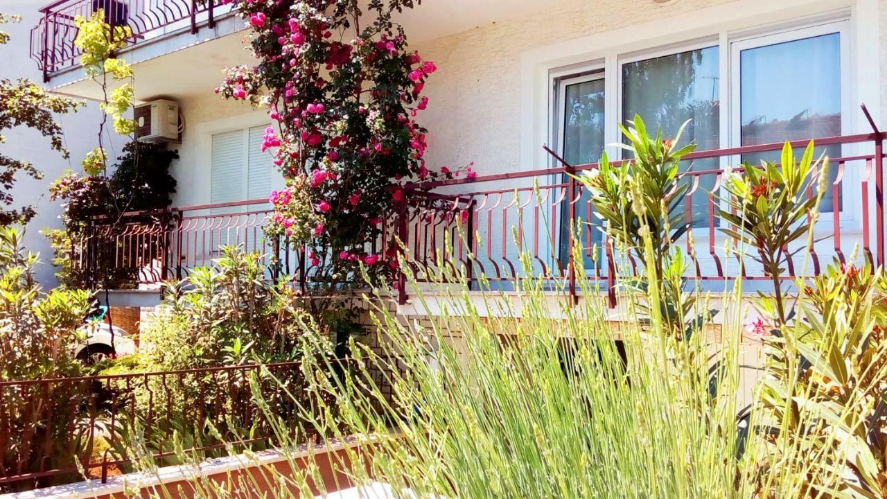 Apartmani Komunela Umag Kültér fotó